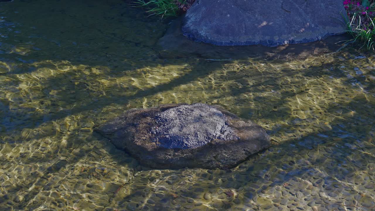 Et detaljeret nærbillede af vand, der fosser over en buet stenoverløbsdæmning. Vandet danner et glat, glaslignende tæppe, før det plasker ned i dammen nedenfor, hvilket skaber et rytmisk og fredfyldt visuelt udtryk