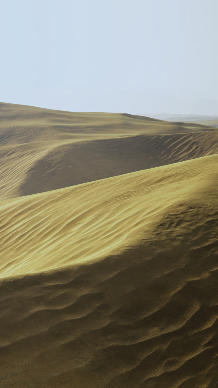 Waves of sand stretch across the desert landscape in bright sunlight