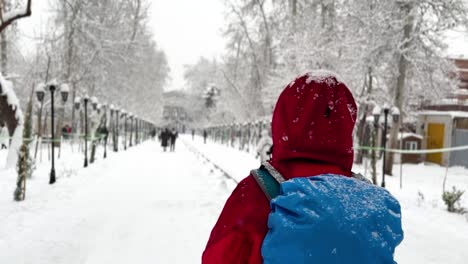 Woman-is-walking-in-Iran-streets-in-Tehran-the-City-landscape-nature-in-iconic-historical-building-palace-ancient-Persia-empire-architecture-design-winter-snow-heavy-snowfall-hiking-around-attraction