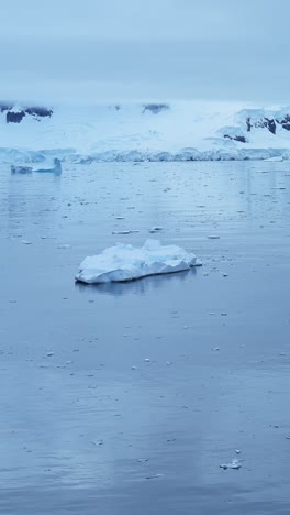 icebergs no oceano antártico