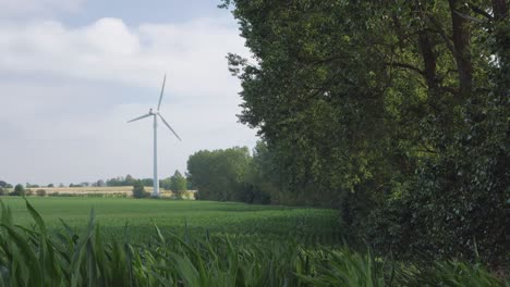 Energía-De-Molinos-De-Viento-En-Campo,-Energía-Eólica,-Energía-Eólica,-Maizal-Agrícola,-Escena-Agrícola,-Temporada-De-Cultivo,-Belleza-Del-Campo