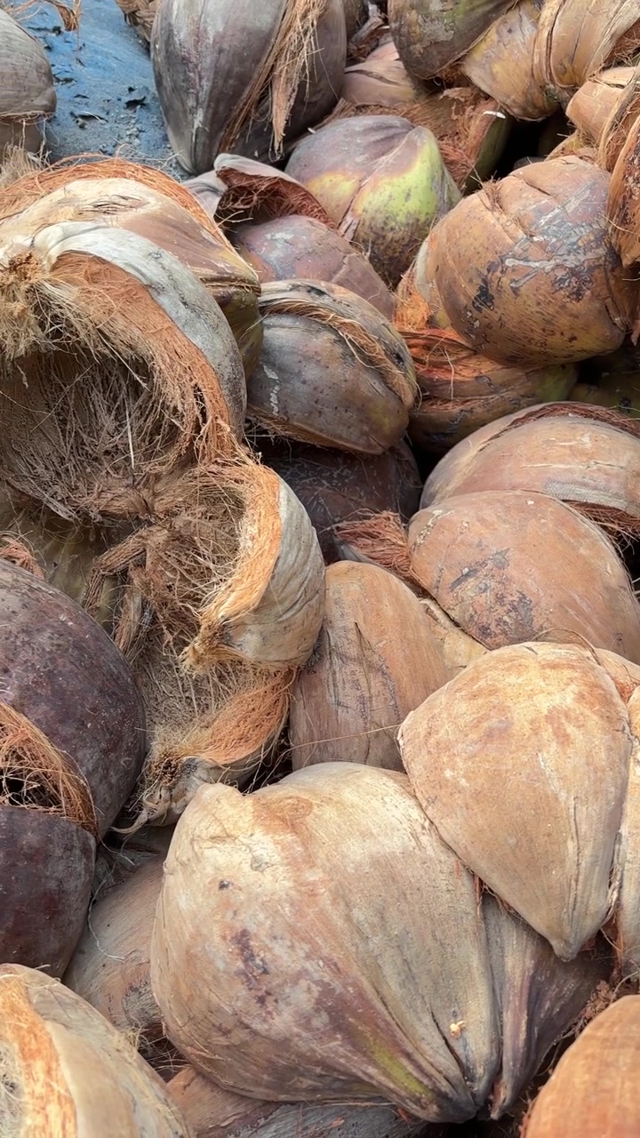 Close-up View of a Large Pile of Coconut Husks