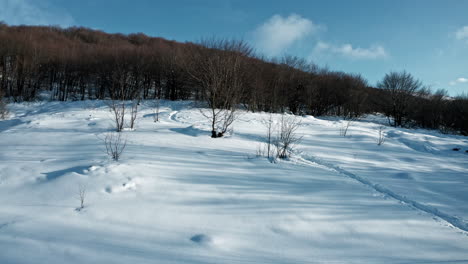 Snowy-hillside-with-bare-trees-under-a-bright-blue-sky-in-winter