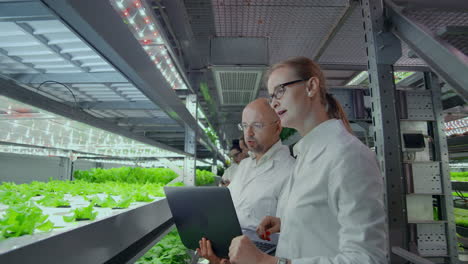 modern scientists are engaged in the development of healthy food production by growing them in vertical automated farms. analysis of data using a laptop and tablet computer