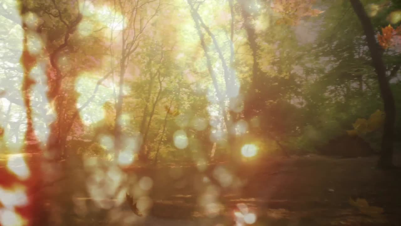 숲과 잎 위의 보케의 애니메이션