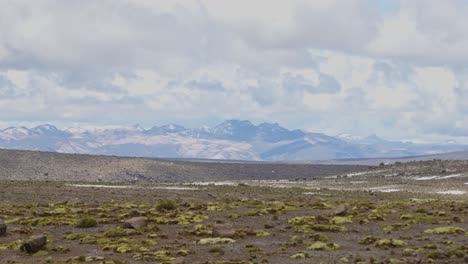 llanuras con montañas lejanas, pampas galeras, perú.