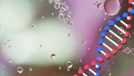 animation of bubbles over dna strand on blurred background