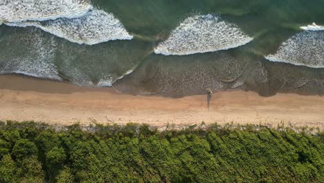 Movimiento-De-Cámara-Aérea-De-Camiones-Verticalmente-Sobre-Playa-Ventanas-En-Tamarindo,-Costa-Rica