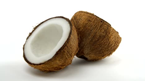 ripe tropical coconut split in two halves rotating on a white background. tropical fruits, loopable