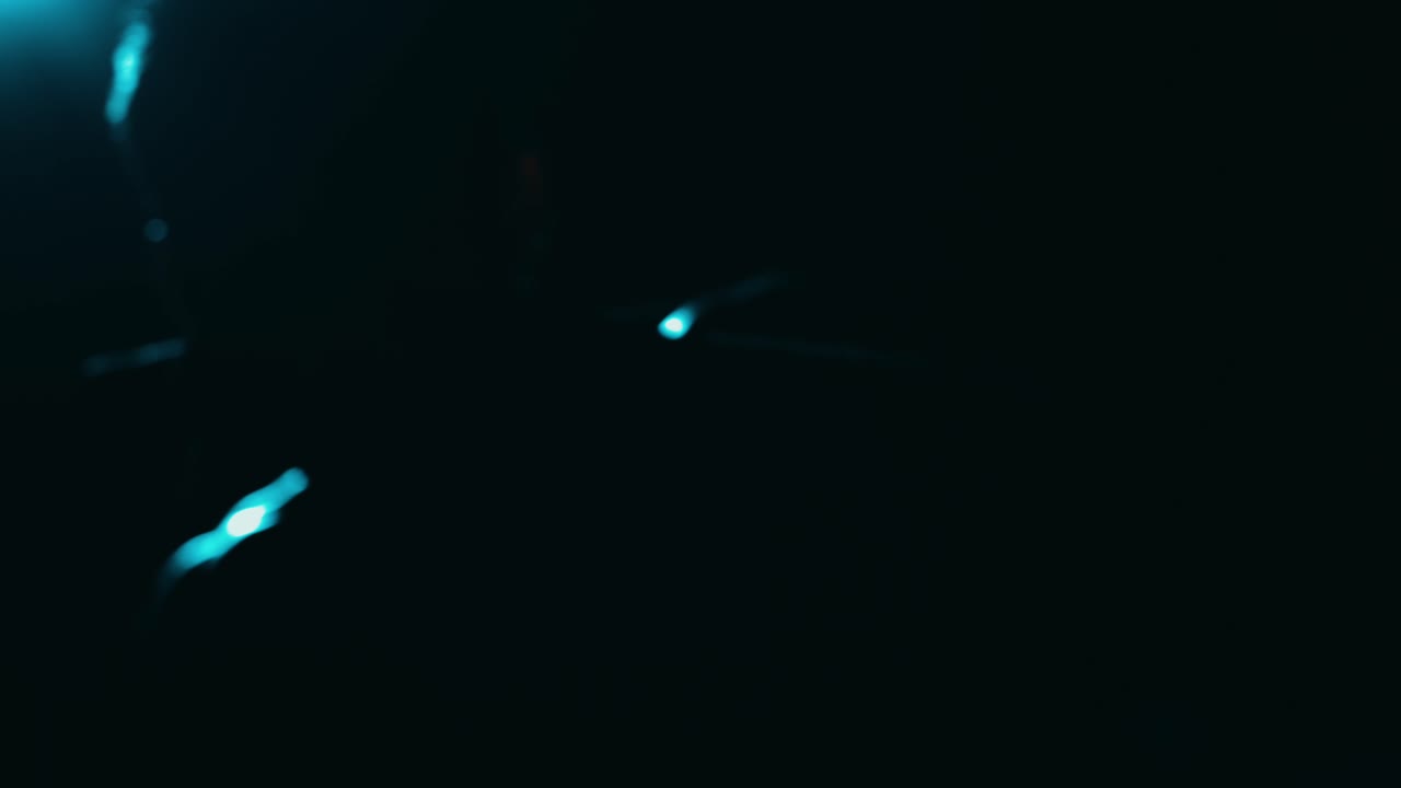 낮은 빛 속 의 사람 의 실루