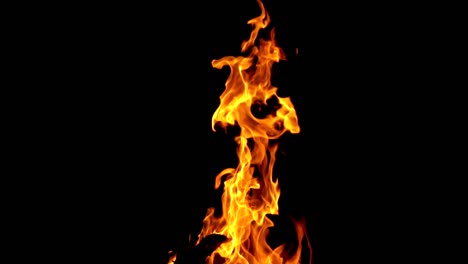 burning fire. bonfire. closeup of flames burning on black background, slow motion