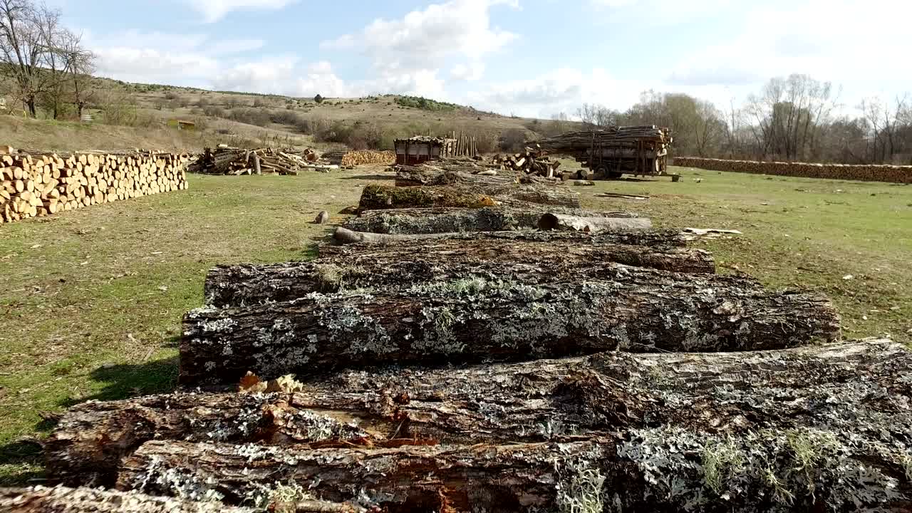 textura de fondo de leña. deforestación problema ambiental. leña pegada