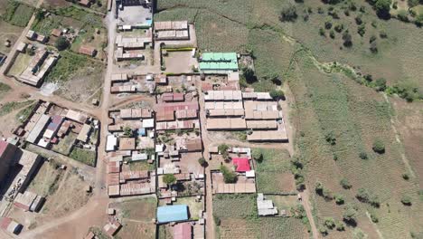 homesteads at loitokitok suburb area, kenya, aerial view