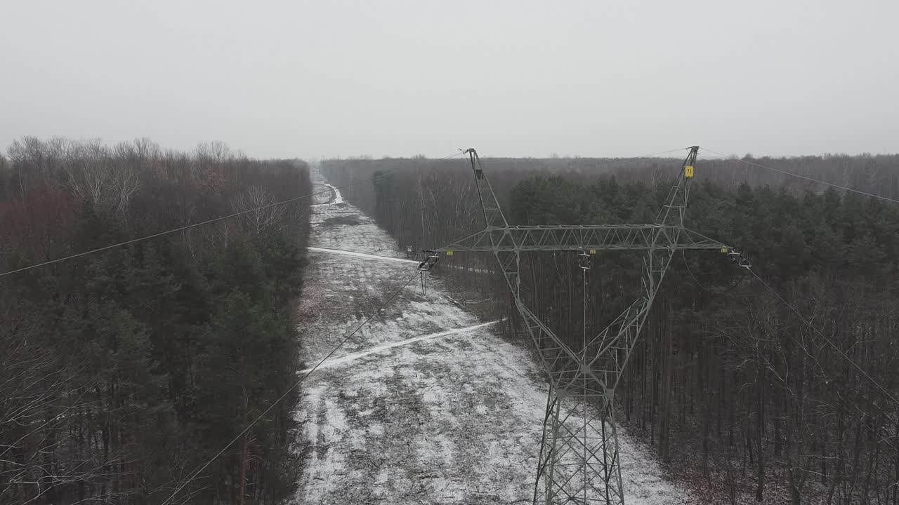 Ripresa rivelatrice di una foresta innevata in una giornata nuvolosa con linee elettriche e una linea simmetrica tra le foreste