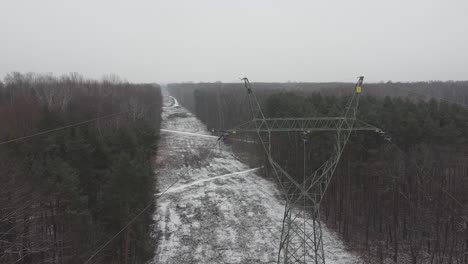 reveladora toma de un bosque nevado en un día nublado con líneas eléctricas y línea simétrica entre bosques