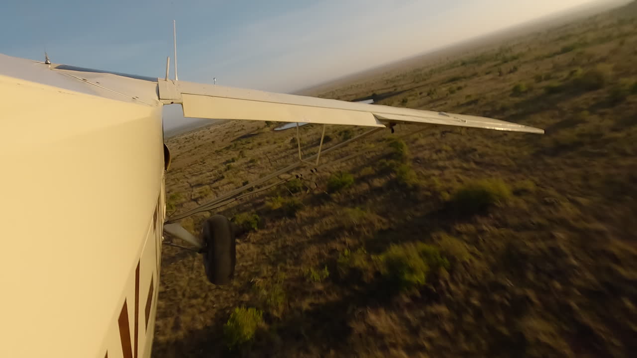 Vista laterale di un piccolo aereo sopra arbusti erbosi e uno specchio d'acqua.