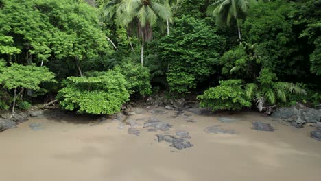 tropical beach of drake bay hidden in jungle on costa rica ocean coast