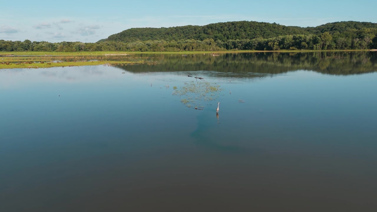Mirror reflections with egret at center of still Lake Eucha waters in Oklahoma, aerial tracking right