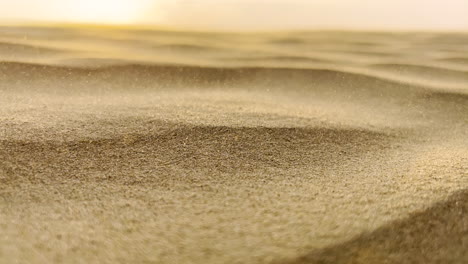 close up of sand dune particles blown by the wind at sunset