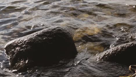 waves gently brushing against a pile of rocks near shore on a sunny summer day