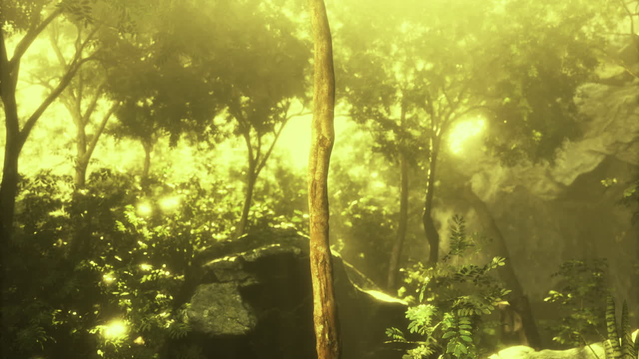 Light filters through lush forest canopy creating a magical atmosphere