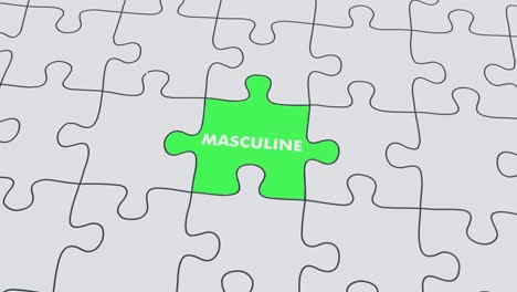 Feminin-maskulines-Puzzle-Zusammengesetzt