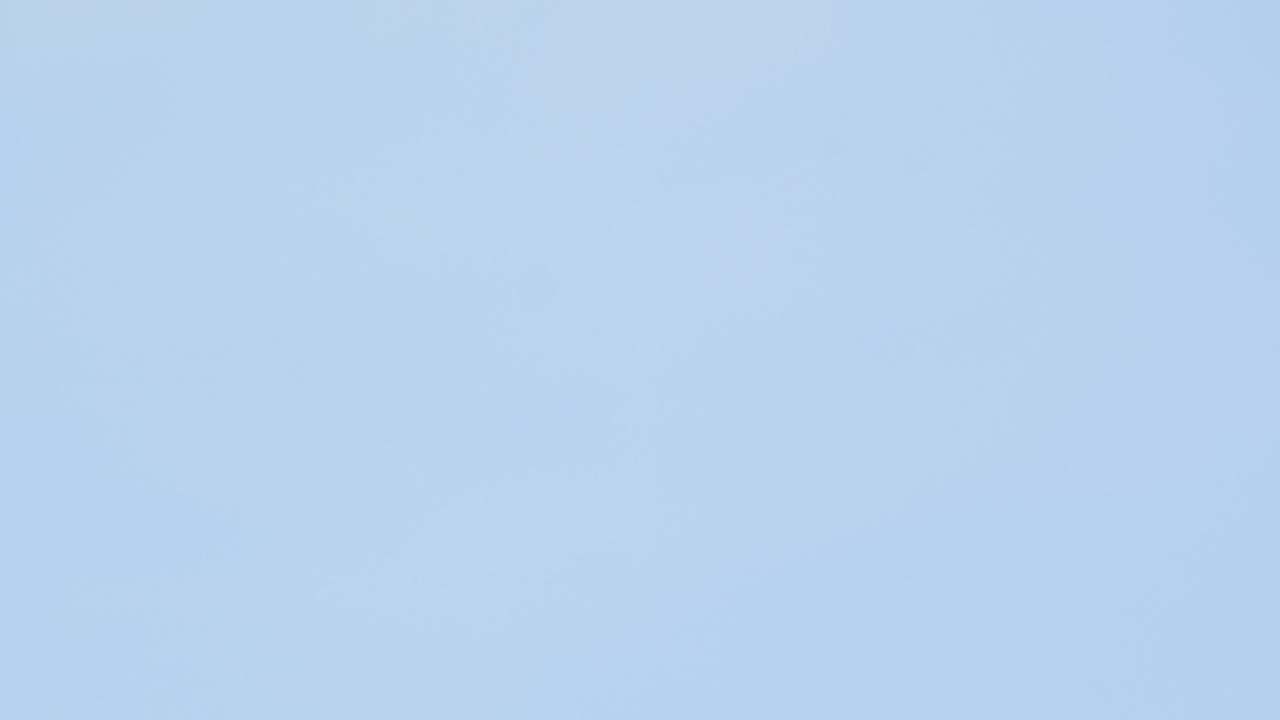 Two Scarlet Macaws fly together at sunrise, displaying their brilliant plumage over Peru’s jungle.