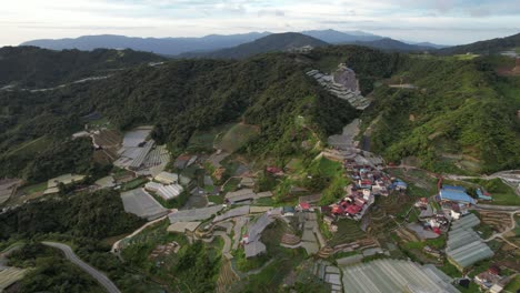 vista general del paisaje del distrito de brinchang dentro del área de cameron highlands de malasia