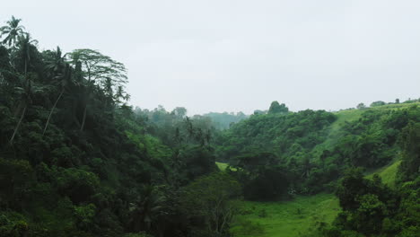 Cinematic-drone-shot-of-a-misty-tropical-jungle-valley-with-palm-trees-and-lush-greenery-on-a-foggy-morning