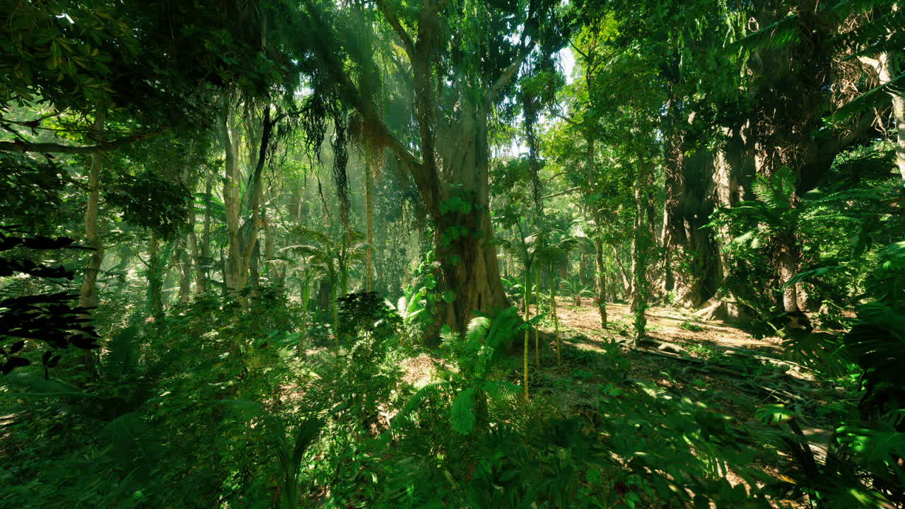 Giungla verde lussureggiante in Cina che mostra una fitta vegetazione e alberi imponenti