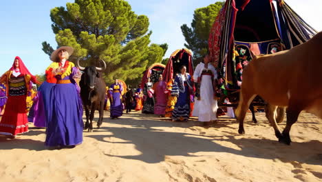 people in vibrant traditional dresses participating in an outdoor cultural procession