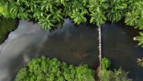 Drohnenschuss-über-Fluss-Mit-Holzbrücke,-üppiger-Vegetation,-Spiegelung-Von-Wolken-Und-Palmen-Im-Wasser,-Mahe,-Seychellen