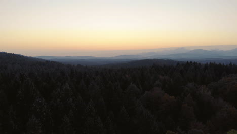 Aerial-view-of-a-forest-during-sunset-with-scenic-landscape-in-the-background