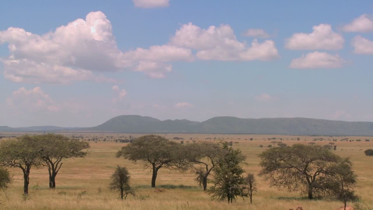 Time-lapse-skud af skyer, der bevæger sig over Serengeti-sletten