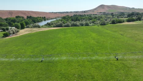 una toma de un avión no tripulado de un sistema de rociadores regando un campo lleno de plantas verdes
