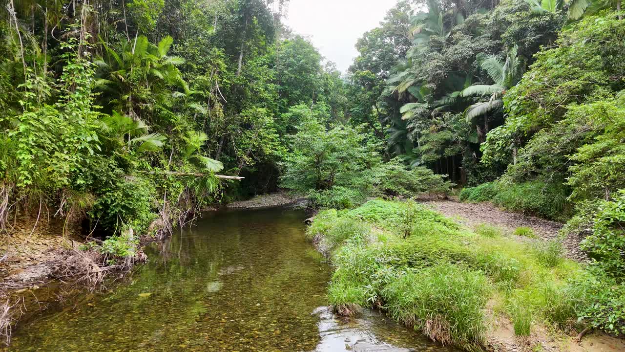Aerial view of a tranquil creek winding through lush, dense rainforest in Port Douglas, Queensland, under soft natural lighting