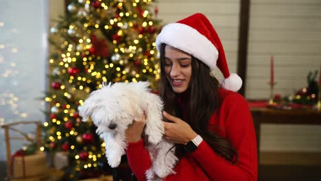 girl with a puppy at christmas