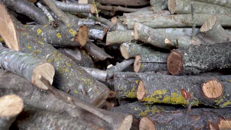 Slow-motion-Stack-of-Firewood