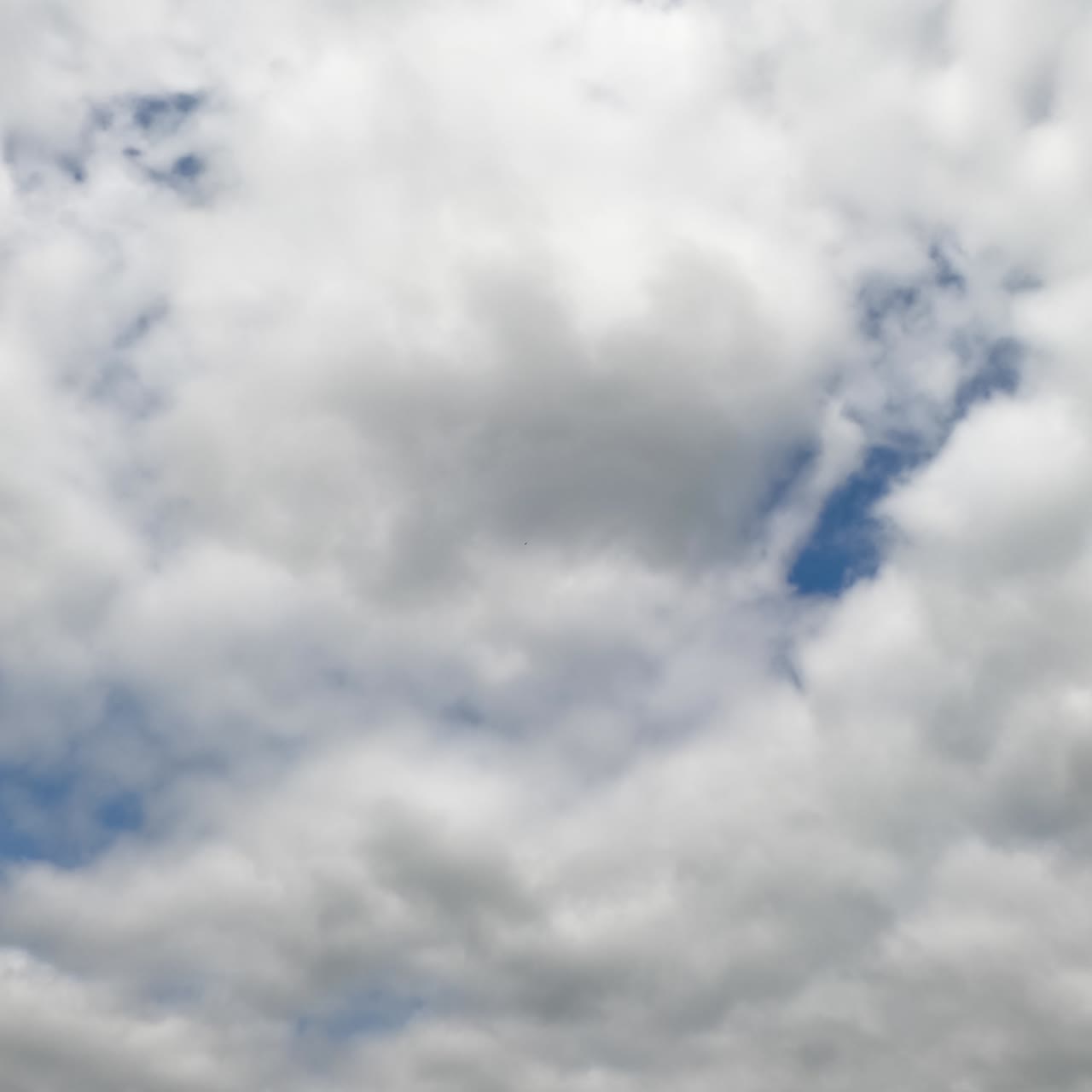 Grey cumulus cloudscape totally covering the sky. Rainy dramatic clouds formation. Timelapse
