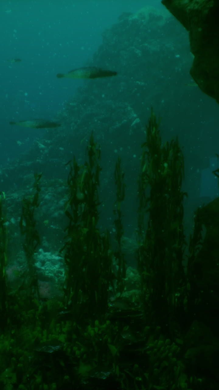 una vibrante escena submarina con peces tropicales nadando alrededor de un arrecife de coral.