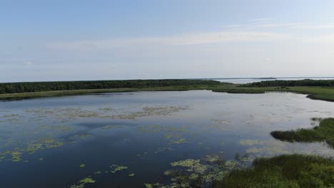 Aerial-View-of-Beautiful-Lake-on-a-Sunny-Day