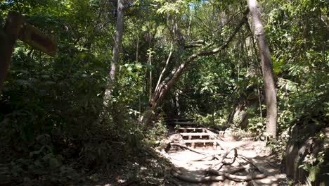 POV-shot-walking-along-a-premade-walking-trail-within-the-Tayrona-National-Park