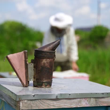 hives of bees in apiary