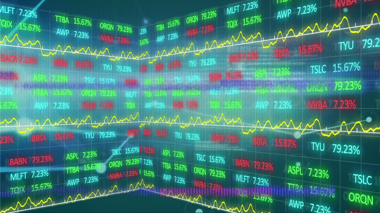 데이터 프로세싱을 통한 연결 네트워크의 애니메이션