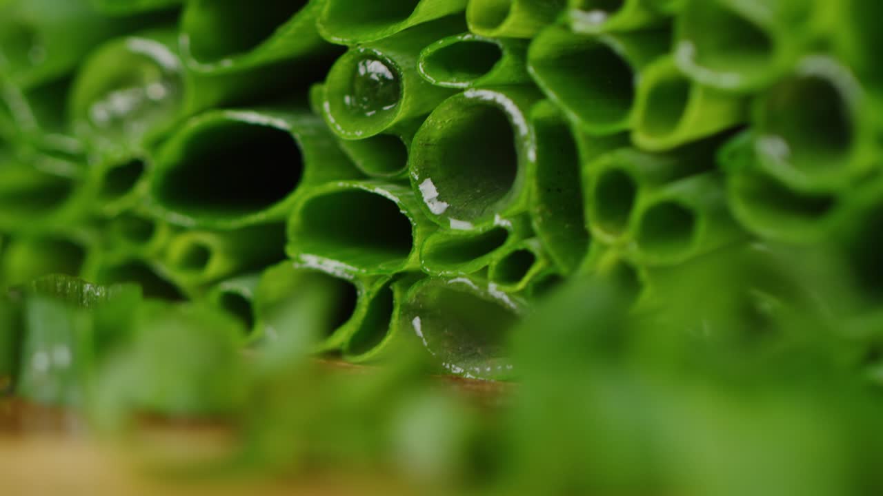 se ha cortado la cebolla verde macro shot