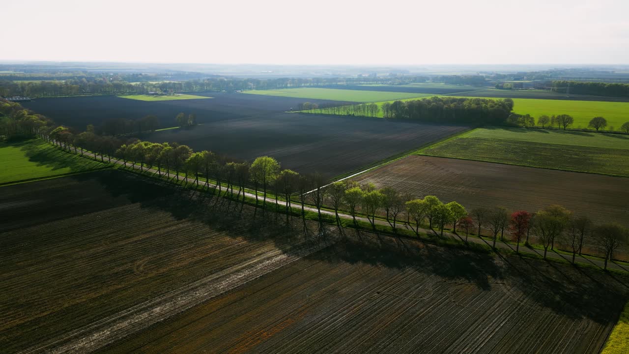 Vista aerea di campagna olandese