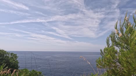the italian beaches have magical views that with a trekking you can live the summer of love. it is a paradisiacal place with turquoise blue sea and natural clearing. beautiful sea.