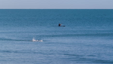 Athlete-Swimming-In-Blue-Open-Ocean-With-Kayaker-Supervising-Swim-Race,-Aerial-4K-Drone,-Australia