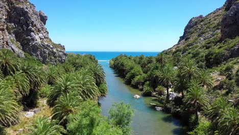 the palm beach of vai or palm forest of vai filmed by a drone