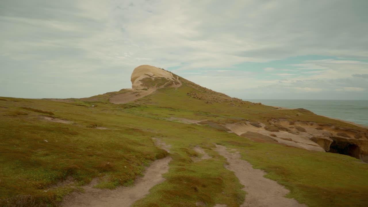 뉴질랜드의 바다 아치 꼭대기에 있는 고원으로 가는 길을 걷는 동안 낮은 핸드헬드 샷